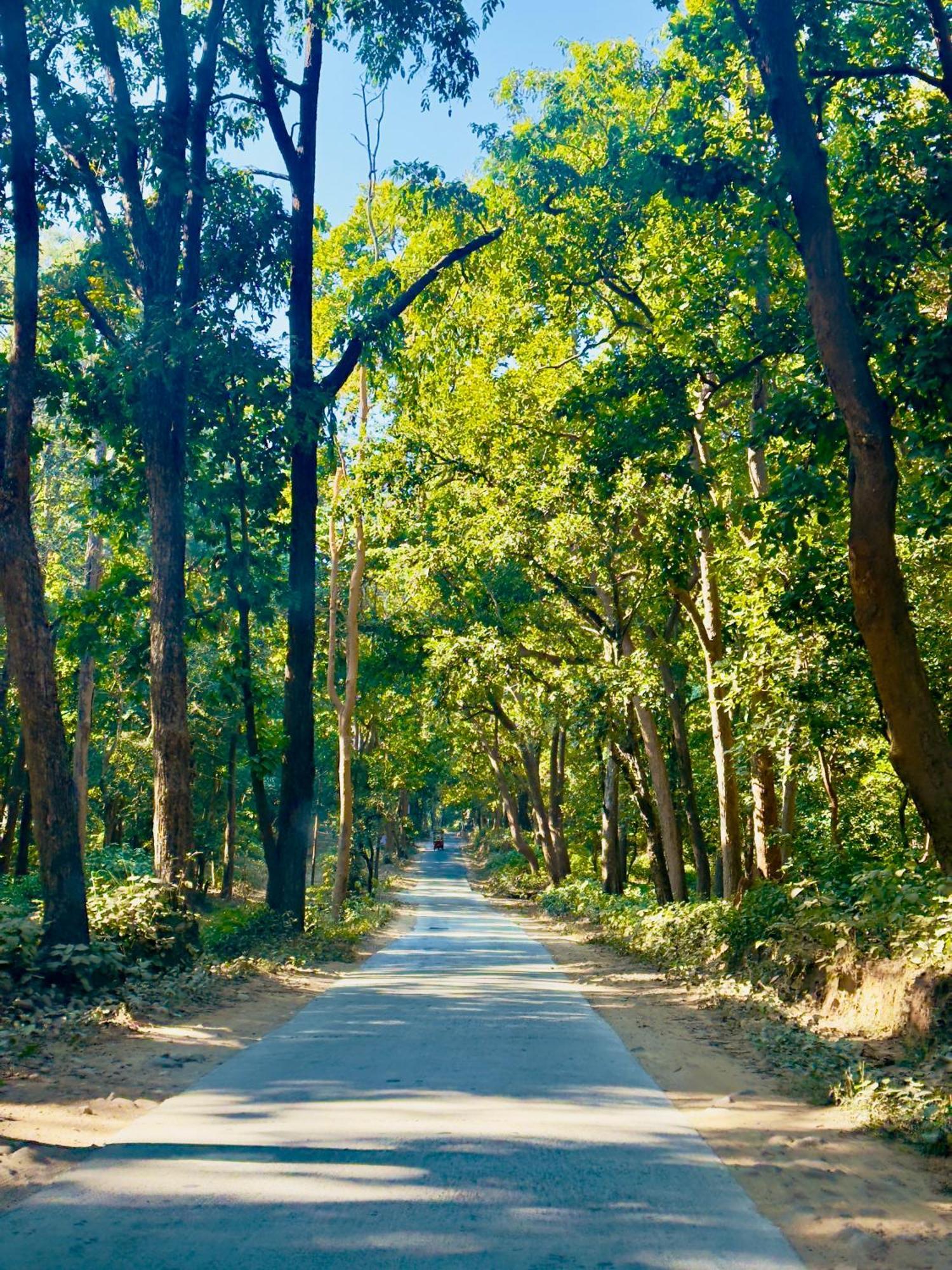 Forest Creek Resort Kiari - A Luxury 4 Star Resort Ramnagar  Luaran gambar